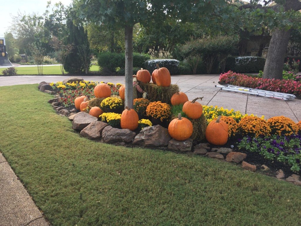 Fall color with pumpkins