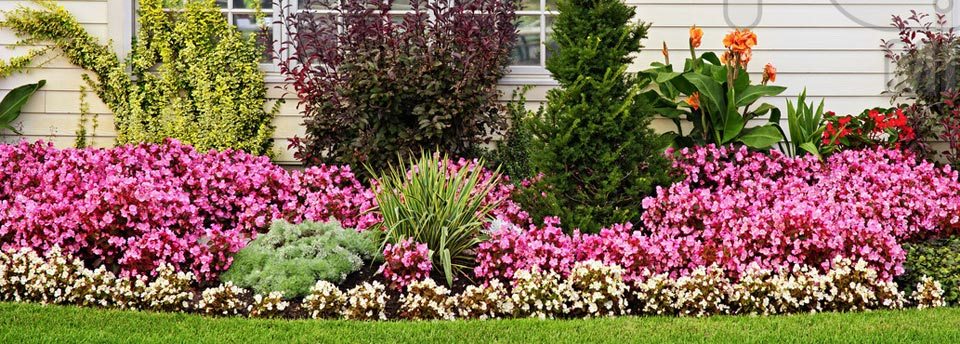 Flower Beds - City Wide Landscape Management